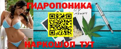 ALPHA PVP Кунгур