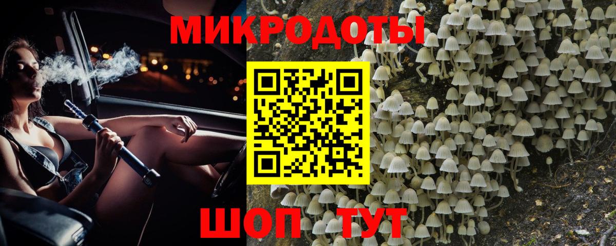 Галлюциногенные грибы Psilocybe Димитровград